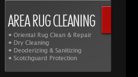 oriental & area rug cleaning