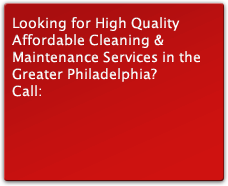 professional carpet & upholstery steam cleaners
