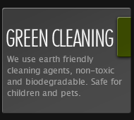 green cleaning solutions