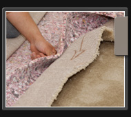 Philadelphia,PA carpet steam cleaning